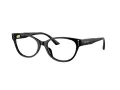 Jimmy Choo JC 3003BU 5000 52 Women glasses