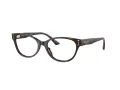 Jimmy Choo JC 3003BU 5002 54 Women glasses
