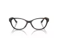 Jimmy Choo JC 3003BU 5002 54 Women glasses