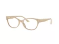 Jimmy Choo JC 3003BU 5015 54 Women glasses