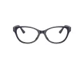 Jimmy Choo JC 3003BU 5016 54 Women glasses