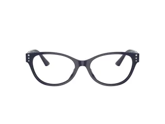 Jimmy Choo JC 3003BU 5016 54 Women glasses