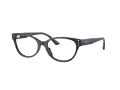 Jimmy Choo JC 3003BU 5016 54 Women glasses