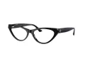 Jimmy Choo JC 3005 5000 55 Women glasses