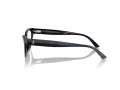 Jimmy Choo JC 3005 5000 55 Women glasses
