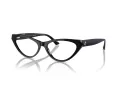 Jimmy Choo JC 3005 5000 55 Women glasses
