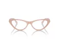 Jimmy Choo JC 3005 5014 53 Women glasses