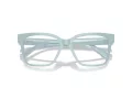 Jimmy Choo JC 3006U 5009 53 Women glasses