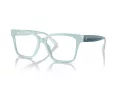 Jimmy Choo JC 3006U 5009 53 Women glasses