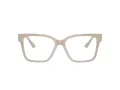 Jimmy Choo JC 3006U 5033 53 Women glasses