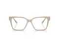 Jimmy Choo JC 3006U 5033 53 Women glasses