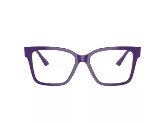 Jimmy Choo JC 3006U 5050 53 Women glasses