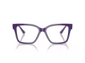 Jimmy Choo JC 3006U 5050 53 Women glasses