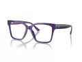 Jimmy Choo JC 3006U 5050 53 Women glasses
