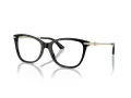 Jimmy Choo JC 3007HB 5000 52 Women glasses