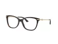 Jimmy Choo JC 3007HB 5002 52 Women glasses