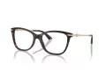 Jimmy Choo JC 3007HB 5002 54 Women glasses