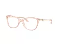 Jimmy Choo JC 3007HB 5034 52 Women glasses