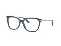Jimmy Choo JC 3007HB 5035 54 Women glasses