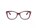 Jimmy Choo JC 3007HB 5062 54 Women glasses