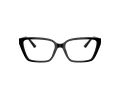 Jimmy Choo JC 3008 5000 53 Women glasses