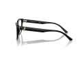 Jimmy Choo JC 3008 5000 53 Women glasses