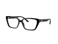 Jimmy Choo JC 3008 5000 55 Women glasses