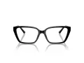 Jimmy Choo JC 3008 5000 55 Women glasses