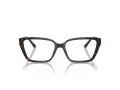 Jimmy Choo JC 3008 5002 55 Women glasses