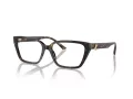 Jimmy Choo JC 3008 5002 55 Women glasses