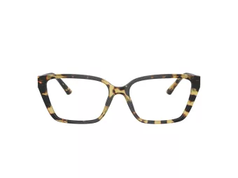 Jimmy Choo JC 3008 5004 53 Women glasses
