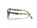 Jimmy Choo JC 3008 5004 53 Women glasses