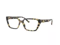 Jimmy Choo JC 3008 5004 55 Women glasses