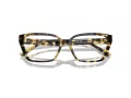 Jimmy Choo JC 3008 5004 55 Women glasses