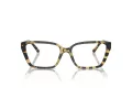 Jimmy Choo JC 3008 5004 55 Women glasses