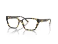 Jimmy Choo JC 3008 5004 55 Women glasses