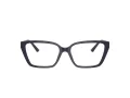 Jimmy Choo JC 3008 5016 53 Women glasses