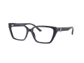 Jimmy Choo JC 3008 5016 53 Women glasses