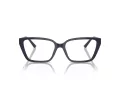 Jimmy Choo JC 3008 5016 53 Women glasses