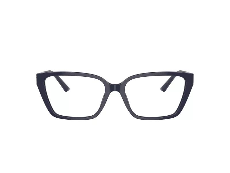 Jimmy Choo JC 3008 5016 55 Women glasses