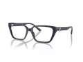 Jimmy Choo JC 3008 5016 55 Women glasses