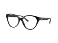 Jimmy Choo JC 3009 5000 52 Women glasses