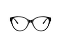 Jimmy Choo JC 3009 5000 54 Women glasses