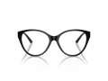 Jimmy Choo JC 3009 5000 54 Women glasses