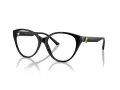 Jimmy Choo JC 3009 5000 54 Women glasses