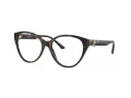 Jimmy Choo JC 3009 5002 54 Women glasses