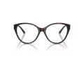 Jimmy Choo JC 3009 5002 54 Women glasses