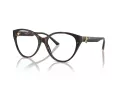 Jimmy Choo JC 3009 5002 54 Women glasses