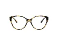 Jimmy Choo JC 3009 5004 54 Women glasses