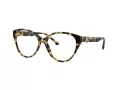 Jimmy Choo JC 3009 5004 54 Women glasses